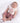 Newborn Butterfly Summer Set